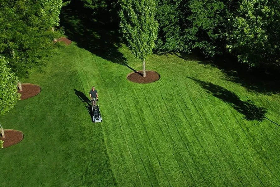 self powered lawn mowers